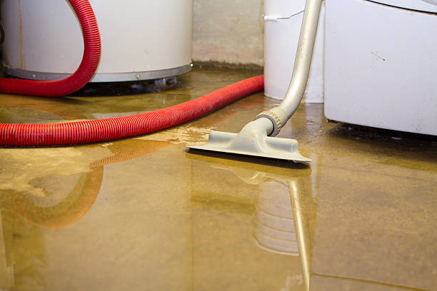 Best Ceiling water damage repair  in Hicksville, NY