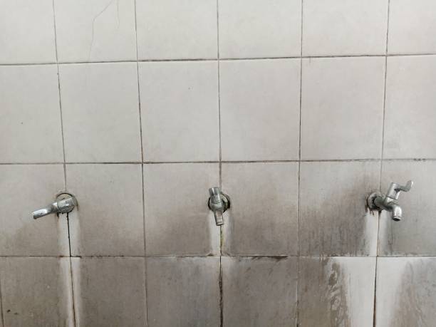 Best Water damage repair service  in Hicksville, NY